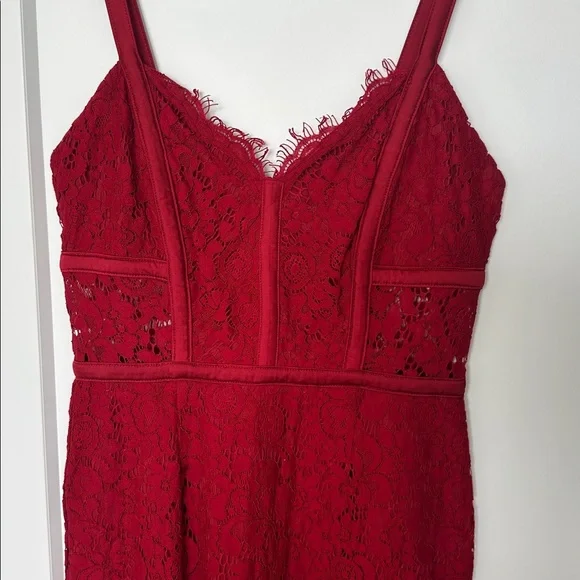 Express Lace Dress - Picture 2 of 4